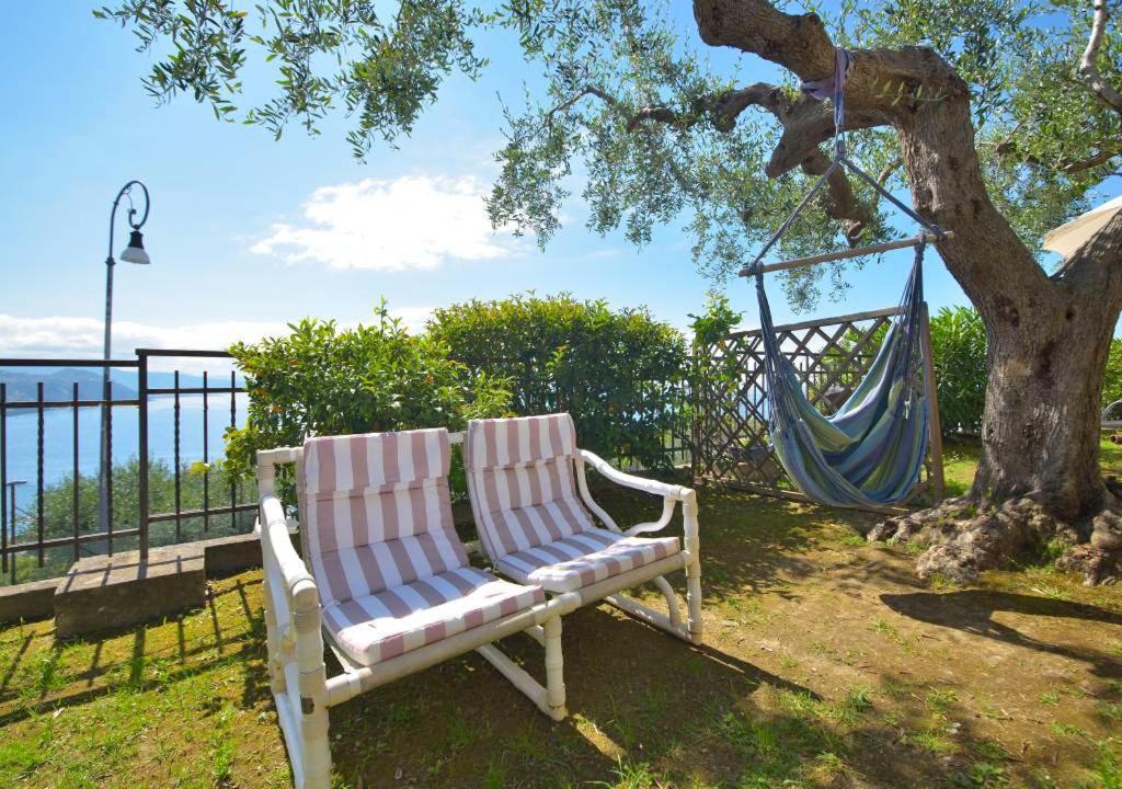Andromeda Flexyrent Rapallo